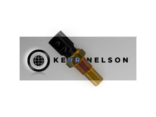 Kerr Nelson ECS173