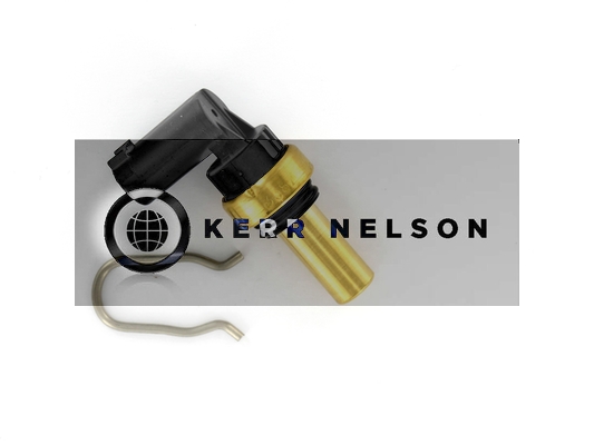 Kerr Nelson ECS175