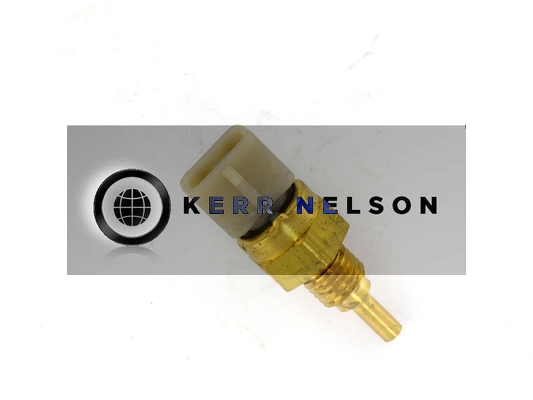 Kerr Nelson ECS178