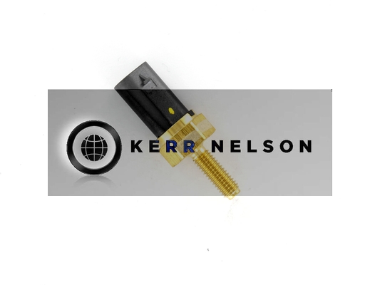 Kerr Nelson ECS179