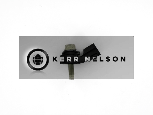 Kerr Nelson EKS156