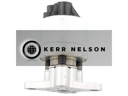 Kerr Nelson ERV310