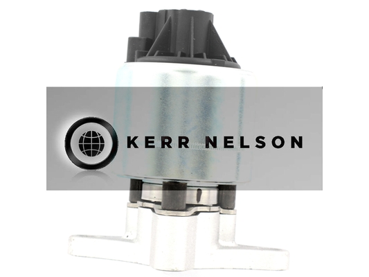 Kerr Nelson ERV319