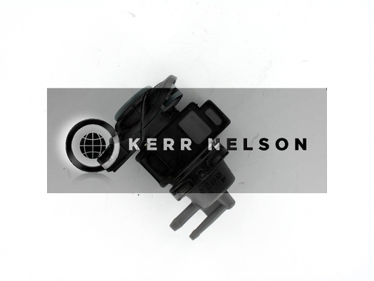 Kerr Nelson ESV054