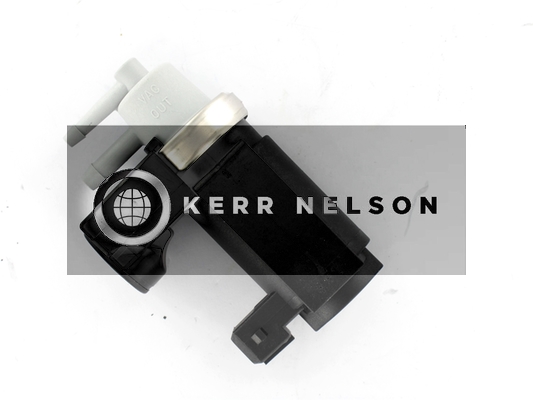 Kerr Nelson ESV083