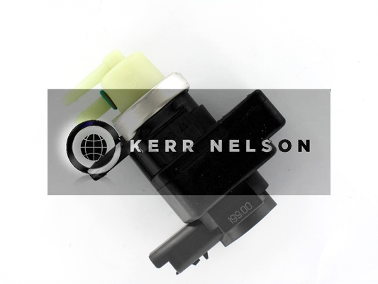 Kerr Nelson ESV089