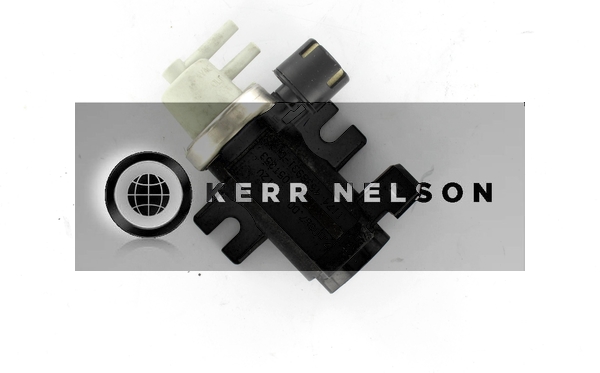 Kerr Nelson ESV104