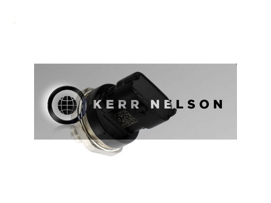 Kerr Nelson FPS005