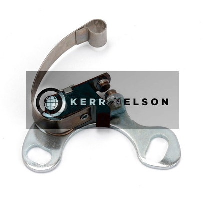 Kerr Nelson ICS099