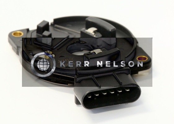 Kerr Nelson IIM076