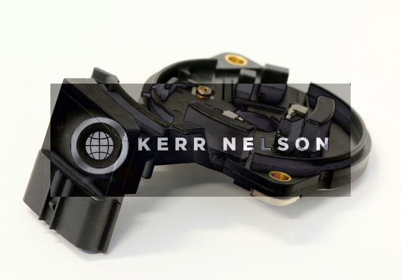 Kerr Nelson IIM079