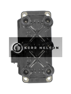 Kerr Nelson IIS497