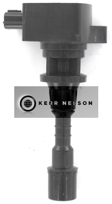 Kerr Nelson IIS543