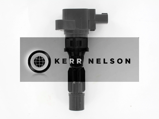 Kerr Nelson IIS545