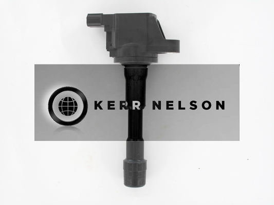 Kerr Nelson IIS548