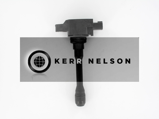 Kerr Nelson IIS549