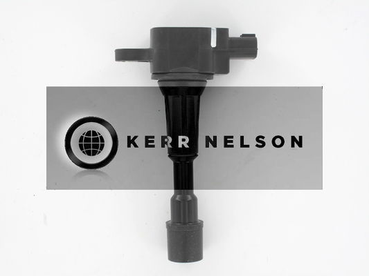 Kerr Nelson IIS551