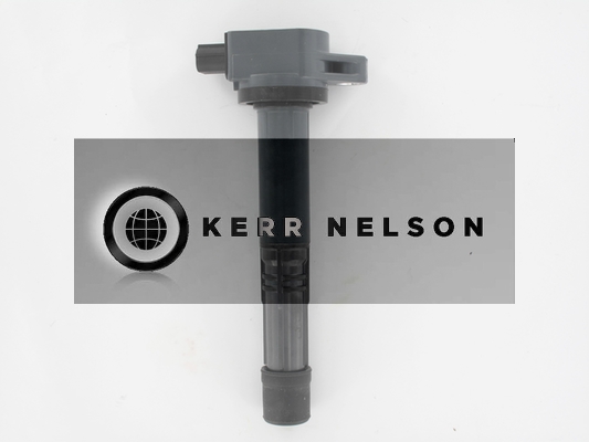 Kerr Nelson IIS552