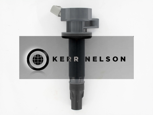 Kerr Nelson IIS553