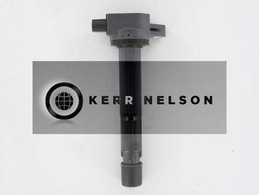 Kerr Nelson IIS554