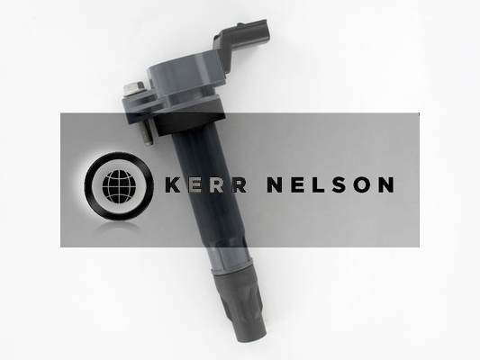 Kerr Nelson IIS555