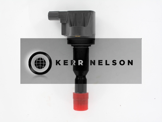 Kerr Nelson IIS556