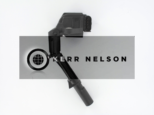 Kerr Nelson IIS557