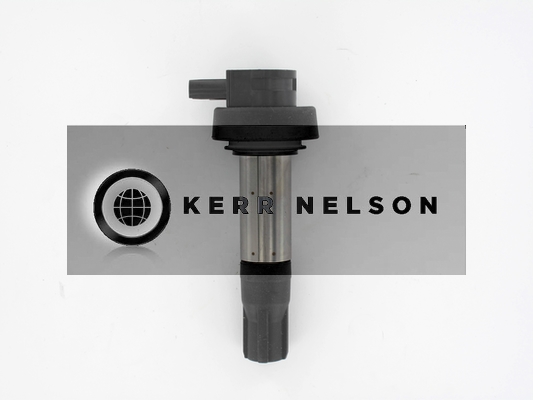 Kerr Nelson IIS558