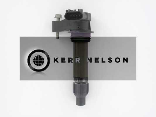 Kerr Nelson IIS559