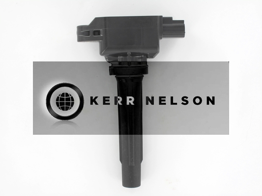 Kerr Nelson IIS560