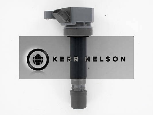 Kerr Nelson IIS561