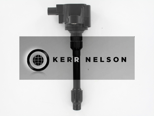 Kerr Nelson IIS563