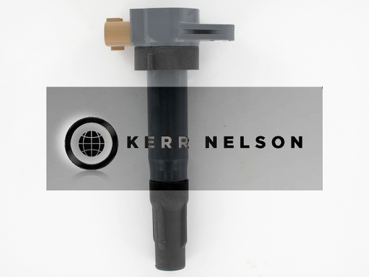 Kerr Nelson IIS564