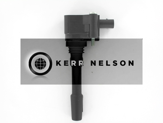 Kerr Nelson IIS565