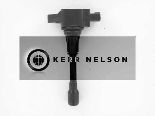 Kerr Nelson IIS566