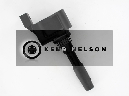 Kerr Nelson IIS567