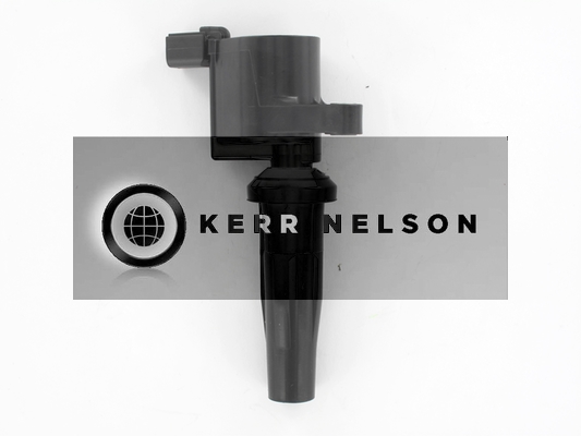 Kerr Nelson IIS571