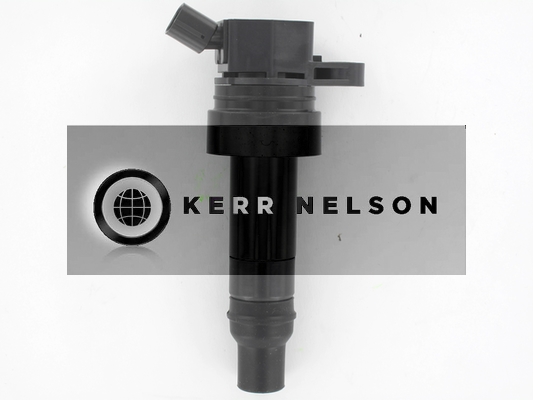 Kerr Nelson IIS572