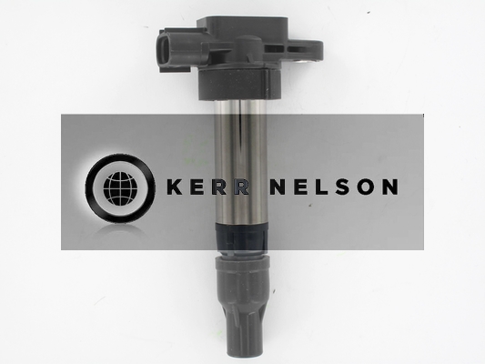 Kerr Nelson IIS576