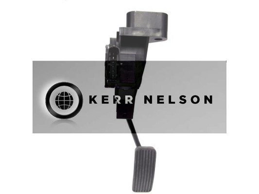 Kerr Nelson KAPS015