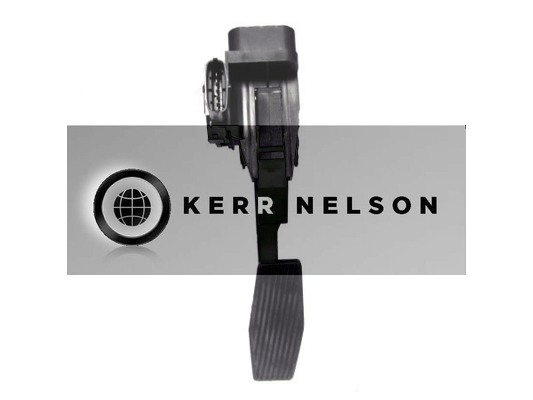 Kerr Nelson KAPS016