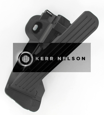 Kerr Nelson KAPS042