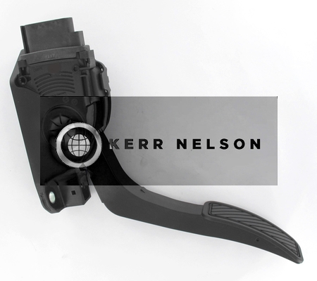 Kerr Nelson KAPS043