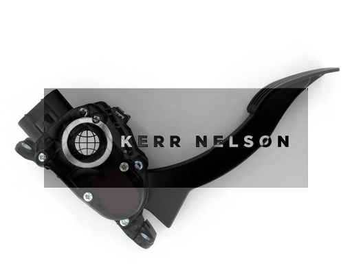 Kerr Nelson KAPS045