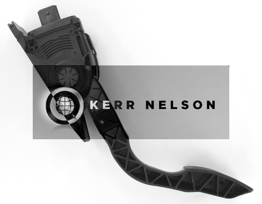 Kerr Nelson KAPS046