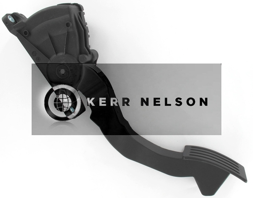 Kerr Nelson KAPS047