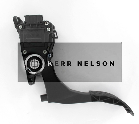 Kerr Nelson KAPS051