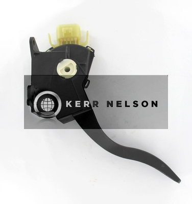 Kerr Nelson KAPS054