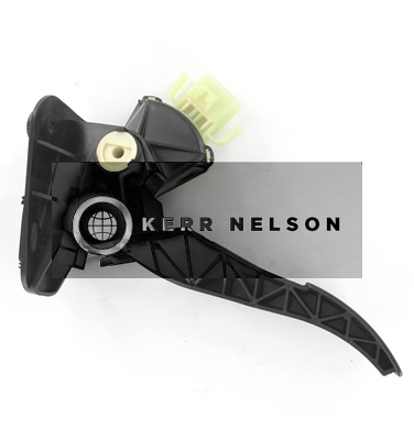 Kerr Nelson KAPS055