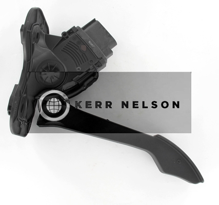 Kerr Nelson KAPS061